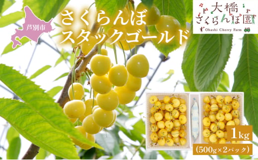 【先行受付】さくらんぼ スタックゴールド1kg（500g×2パック）サクランボ 黄 大橋 芦別 希少 [№5342-0285]