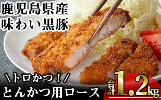 かごしま味わい黒豚 とんかつ用ロース【トロかつ】 (合計1.2kg) 鹿児島県産 豚肉 黒豚 【KNOT】 A559