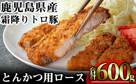 鹿児島県産霜降りトロ豚 とんかつ用ロース (計600g・200g×3枚) 鹿児島県産 豚肉 霜降り 【KNOT】 A570