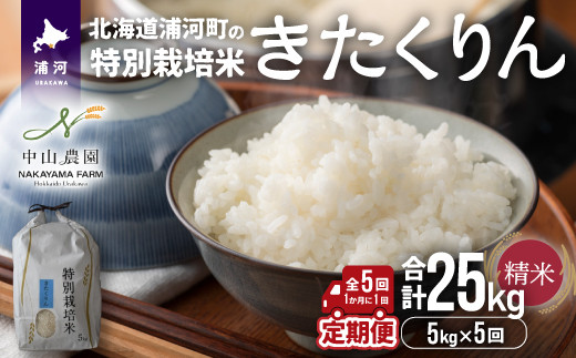 【新米発送！】浦河の特別栽培米「きたくりん」精米(5kg×1袋)定期便(全5回)[37-1426]