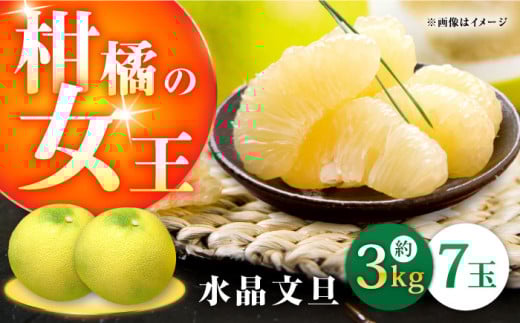 高知県産 水晶文旦 約3kg 7玉入 〈2024年9月～発送〉 【株式会社　四国健商】 [ATAF031]柑橘の女王　柑橘 かんきつ 甘い 酸っぱい  439037 - 高知県高知市
