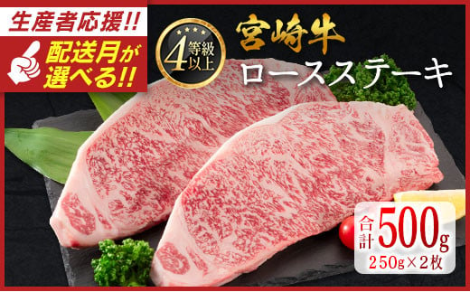 [配送月が選べる!!]数量限定 宮崎牛 ロースステーキ 計500g(250g×2枚) 肉質等級4等級 国産 人気 おすすめ 2024年12月お届け[C346-S-2412]