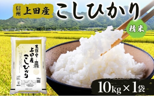 [新米予約]令和6年産 長野県 信州 上田市産 こしひかり 10kg×1袋 計10kg 精米 白米 ブランド米 銘柄米 コシヒカリ ご飯 ライス お弁当 おにぎり 主食 国産 日本産 和食 お取り寄せ 産地直送 長野県産 ベイクックコーポレーション 送料無料 上田