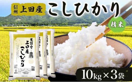 [新米予約] 令和6年産 長野県 信州 上田市産 こしひかり 10kg×3袋 計30kg 精米 白米 ブランド米 銘柄米 コシヒカリ 産地直送 主食 国産 日本産 和食 お取り寄せ 産地直送 長野県産 ベイクックコーポレーション 送料無料 上田