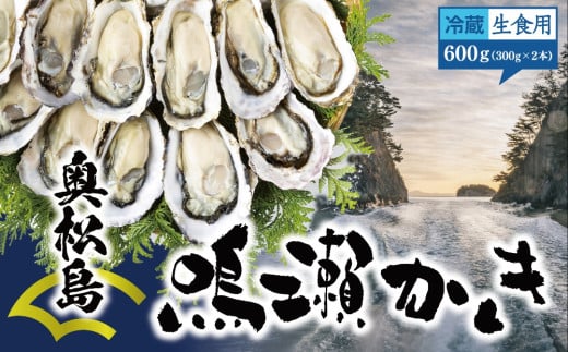 [11/23牡蠣の日受付スタート!!] [2024年12月上旬から順次発送予定]鳴瀬かき 牡蠣 生食用 600g (300g × 2)[到着日指定必須!] 宮城県 奥松島産 牡蠣 かき カキ 生かき 生牡蠣 むき身 オンラインワンストップ 申請 対応 自治体マイページ 宮城県 東松島市