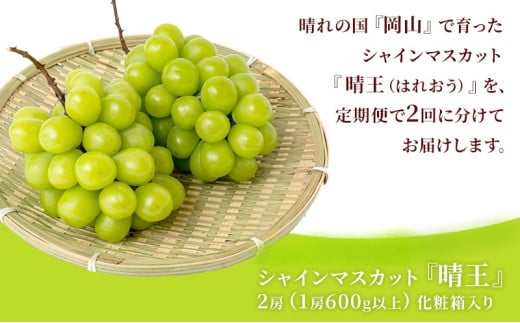 ぶどう 定期便 2025年 先行予約 シャイン マスカット 晴王 各月2房（1房600g以上） 2回コース マスカット ブドウ 葡萄 岡山県産 国産 フルーツ  果物 ギフト [№5735-1733] - 岡山県瀬戸内市｜ふるさとチョイス - ふるさと納税サイト