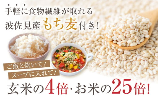 令和6年度新米】ヒノヒカリ 白米 5kg もち麦 300g 波佐見町産 セット【冨永米穀店】 [ZF01] - 長崎県波佐見町｜ふるさとチョイス -  ふるさと納税サイト