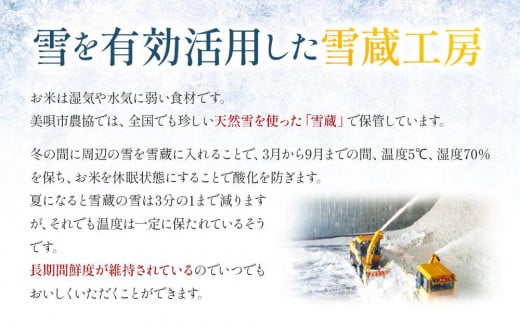 北海道美唄市のふるさと納税 ななつぼし 10kg 雪蔵工房 特Ａ厳選米  【令和6年産】