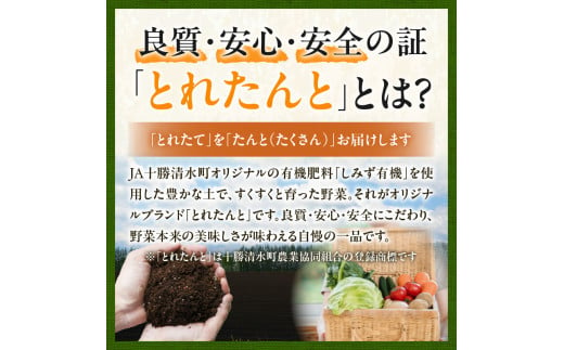 北海道清水町のふるさと納税 【2025年発送先行予約！】アスパラガス M・L混合 1kg！ アスパラ アスパラガス 野菜 旬 アスパラ アスパラガス 保存 北海道産 2025年 アスパラガス 産直 産地直送 お取り寄せ 清水町 北海道 _S021-0010