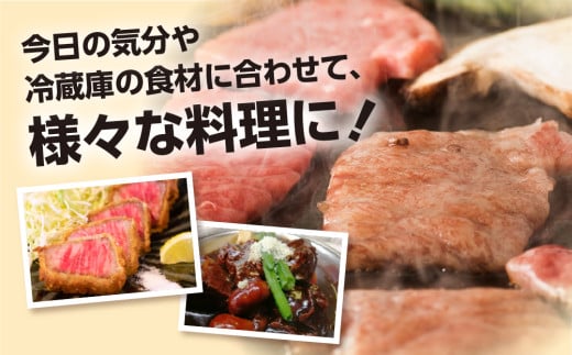 岐阜県白川村のふるさと納税 飛騨牛 ブロック肉 1kg (霜降り肉 赤身肉 500g×2 ) 訳あり 訳アリ 部位お任せ 不揃い ローストビーフ  牛肉 ブロック セット 真空パック 黒毛和牛 肉  バーベキュー BBQ 焼き肉 焼肉 ごちそう JA 30000円 【202411_リピーター】 [S090] 年内お届け 年内配送