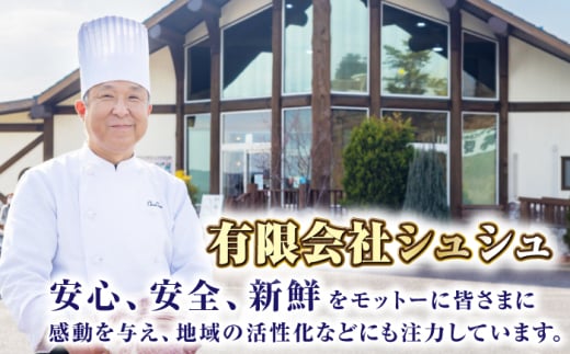 ハンバーグ 人気 和牛  長崎和牛 希少 柔らかい やわらかい 贈り物 ギフト 