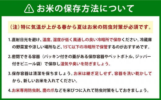 北海道美唄市のふるさと納税 ななつぼし 10kg 雪蔵工房 特Ａ厳選米  【令和6年産】