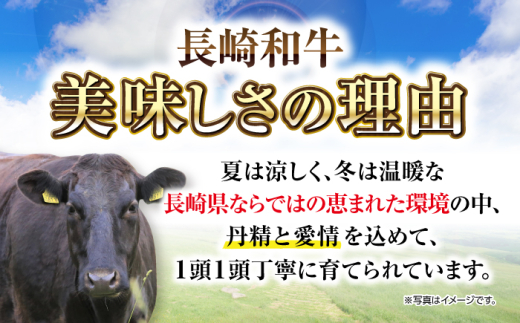 ハンバーグ 人気 和牛  長崎和牛 希少 柔らかい やわらかい 贈り物 ギフト 
