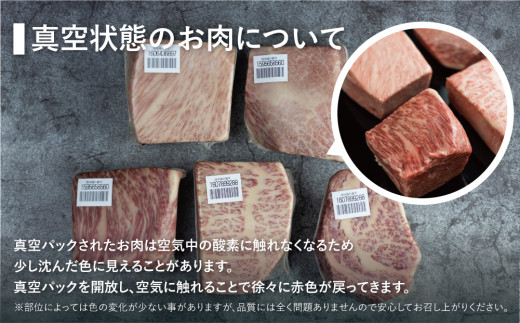 岐阜県白川村のふるさと納税 飛騨牛 ブロック肉 1kg (霜降り肉 赤身肉 500g×2 ) 訳あり 訳アリ 部位お任せ 不揃い ローストビーフ  牛肉 ブロック セット 真空パック 黒毛和牛 肉  バーベキュー BBQ 焼き肉 焼肉 ごちそう JA 30000円 【202411_リピーター】 [S090] 年内お届け 年内配送