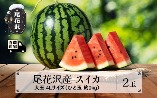 先行予約 尾花沢産スイカ 4Lサイズ 約9㎏×2玉 7月下旬～8月中旬頃発送 令和7年産 2025年産 観光物産 kb-su4xx2 252048 - 山形県尾花沢市