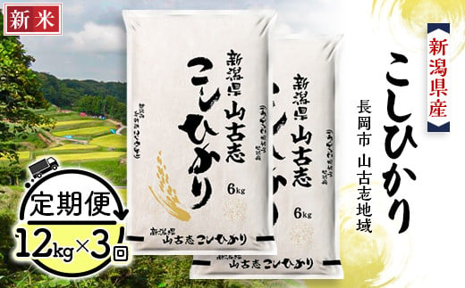 75-BY123【3ヶ月連続お届け】新潟県長岡産コシヒカリ山古志地域棚田米12kg 223675 - 新潟県長岡市