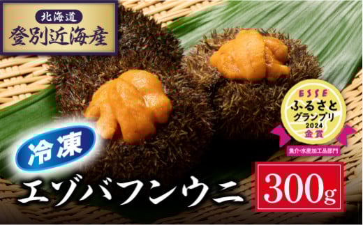 先行予約 北海道登別近海産 エゾバフンウニ（冷凍パック）300g ※6月以降順次配送 |うに ウニ 雲丹 生うに バフンウニ 冷凍 パック詰め ふるさと納税 北海道 登別市