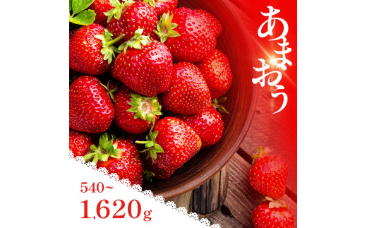 福岡県産 あまおう 540〜1620g いちご 果物 フルーツ ギフト 季節限定 先行予約 2025年1月以降より順次発送