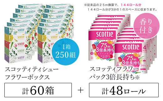 【ボックスティッシュ60箱＋トイレットロール48ロール セット】スコッティ ティシュー フラワーボックス 250組60箱 (1ケース5箱×12パック) と スコッティ フラワーパック3倍長持ち（ダブル）48ロール（4ロール×12パック）/ 日用品 ティッシュ トイレットペーパー セット 消耗品 備蓄 防災 大容量 大人気 おすすめ 肌触り 日本製 たっぷり 国産 クレシア まとめ買い ストック 1425876 - 京都府福知山市