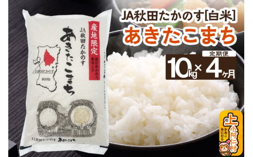 【定期便4ヶ月】JA秋田たかのす あきたこまち 10kg（精米）秋田県産 新米 1534247 - 秋田県上小阿仁村