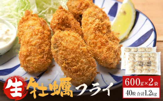 三陸産カキフライ600g（20粒入）×2パックセット 冷凍 牡蠣 かき 大粒 海鮮 貝 揚げ物 オイスター おかず おつまみ 美味しい サクサク 1534094 - 宮城県石巻市