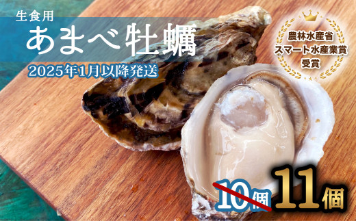 先行予約 あまべ牡蠣 11個 牡蠣 シングルシード 生食用 殻付き かき カキ オイスター 生ガキ 生牡蠣 生がき 生かき ギフト 貝 旨味 【2025年1月以降発送】 1125739 - 徳島県海陽町