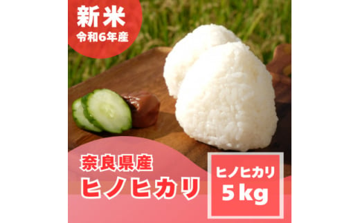 ＜令和6年産　新米＞奈良県産 ヒノヒカリ 精米 5kg【1454613】 1245238 - 奈良県大和高田市