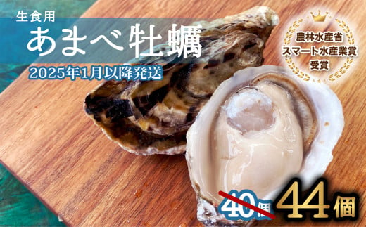 先行予約 あまべ牡蠣 44個 牡蠣 シングルシード 生食用 殻付き かき カキ オイスター 生ガキ 生牡蠣 生がき 生かき ギフト 貝 旨味  【2025年1月以降発送】 1125741 - 徳島県海陽町