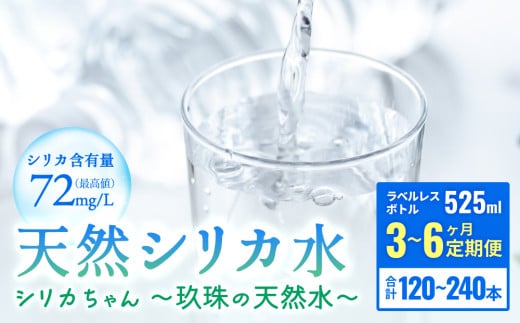 [定期便]数量限定! 天然 シリカ 水 525ml × 40本 [3〜6ヶ月お届け ] シリカちゃん〜玖珠の天然水〜 ラベルレス 天然水 シリカ水 ミネラルウォーター 国産