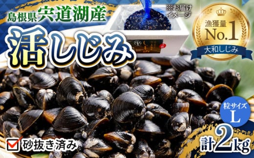  新鮮採れたて！宍道湖産活大和しじみ大粒(L)2kg(砂はき済み)島根県松江市/平野缶詰有限会社 [ALBZ016] 641509 - 島根県松江市