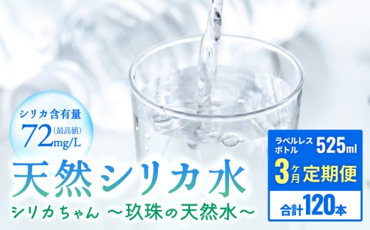 [定期便 3ヶ月] 天然 シリカ 水 525ml × 40本 ＜シリカちゃん〜玖珠の天然水〜＞ ラベルレス 天然水 シリカ水 ミネラルウォーター 国産 1533546 - 大分県玖珠町