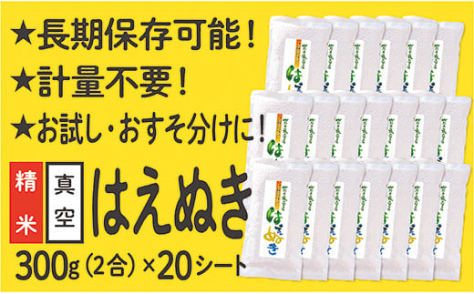 山形県産 はえぬき 真空パック 2合 20シート