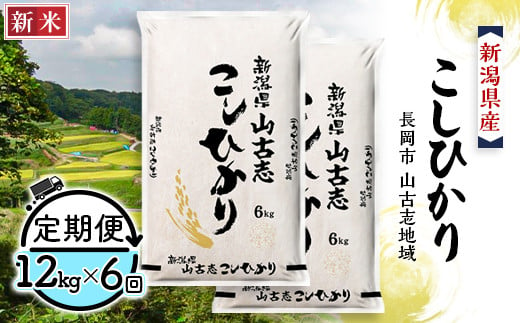 75-BY126【6ヶ月連続お届け】新潟県長岡産コシヒカリ山古志地域棚田米12kg 217348 - 新潟県長岡市