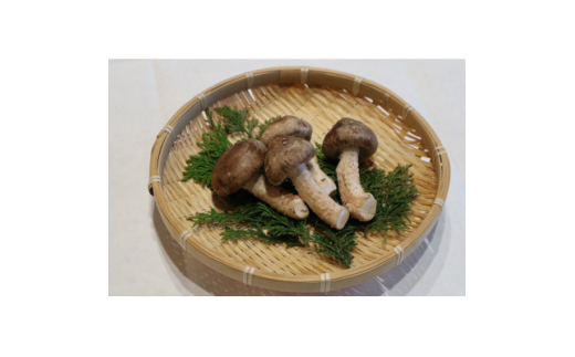 松太郎 家庭用 約300g