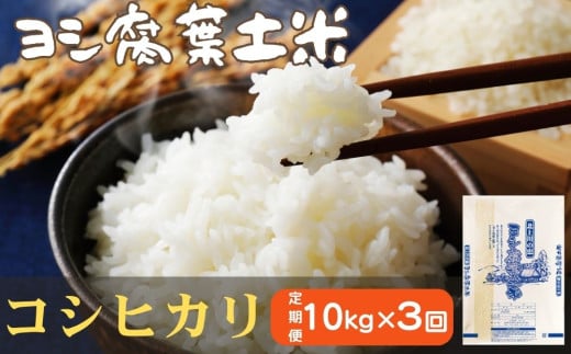 令和6年産<定期便>ヨシ腐葉土米 精米30kg(10kg×3回発送)コシヒカリ 宮城県 石巻市 定期便 毎月 3回 10kg 米 お米 850895 - 宮城県石巻市