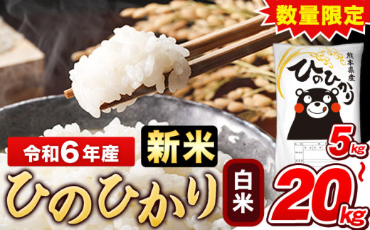 令和6年産新米 早期先行予約受付中 白米 ひのひかり 5kg 10kg 12kg 15kg 18kg 20kg [11月-12月より出荷予定]令和6年産 熊本県産 ふるさと納税 白米 精米 ひの 米 こめ ふるさとのうぜい ヒノヒカリ コメ お米 おこめ