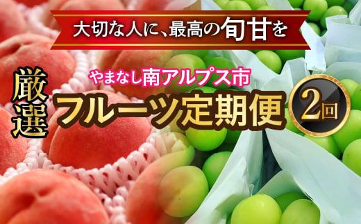 ＜2025年発送分先行予約＞フルーツギフト専門店が選ぶ南アルプスの厳選フルーツ定期便　全2品種（桃・シャインマスカット） ALPAH049