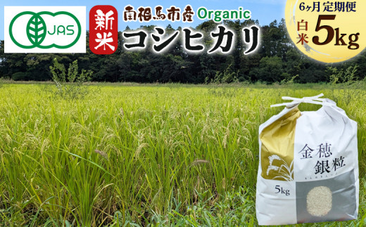 【毎月定期便】 有機米コシヒカリ 5kg × 6回 みさき未来 令和6年度産 30キロ 新米 有機 JAS認証 白米 精米 有機米 米 コメ ごはん ブランド米 コシヒカリ 南相馬 福島 福島県産 炊き立て 送料無料 ふるさと納税 オンライン申請【70007】 1531809 - 福島県南相馬市