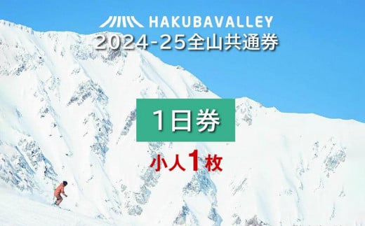 2024-2025 Hakuba Valley 全山共通1日券 小人1枚 1533802 - 長野県大町市