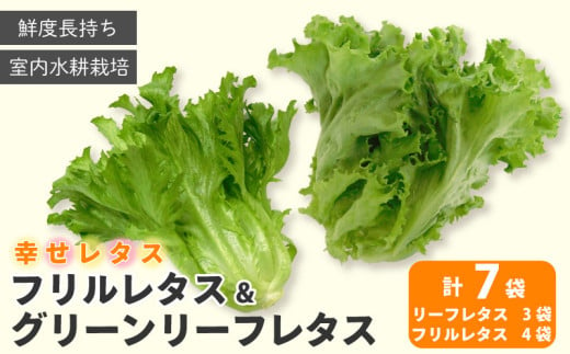 野菜 詰め合わせ セット レタス 計7個 幸せレタス フリルレタス 4個 グリーンリーフ 3個 水耕栽培  LED 栽培 低菌 野菜 丸ごと ベジタブル 副菜 常備菜 サラダ ヴィーガン ヘルシー 1534583 - 徳島県阿波市