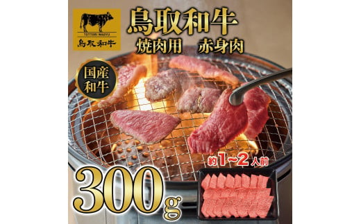 鳥取和牛 焼肉用 赤身肉（モモ、ウデ） 計300g KT010-013 774705 - 鳥取県琴浦町