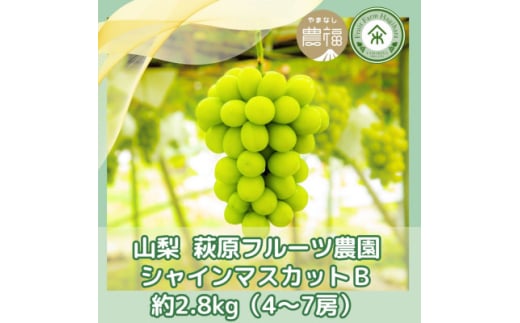 ＜2025年先行受付＞山梨 萩原フルーツ農園のシャインマスカット B(約2.8kg 4～7房)【1559305】 1536233 - 山梨県山梨市