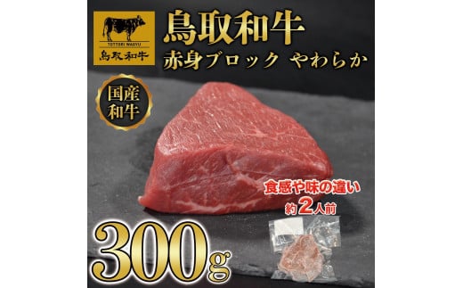 鳥取和牛 赤身肉 ブロック やわらか 300g KT010-023 774708 - 鳥取県琴浦町