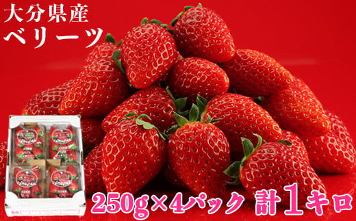 [1月発送]大分県産 ベリーツ 約1kg（約250g×4パック）／ いちご 1kg 先行予約 1月 甘い フルーツ 苺 スイーツ ＜133-101_5＞ 1097561 - 大分県杵築市