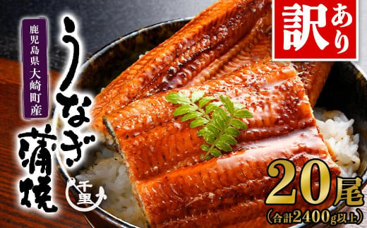 大容量【訳あり】鹿児島県産うなぎ蒲焼20尾　2,400g以上 1533637 - 鹿児島県大崎町