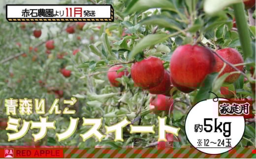りんご 【 11月発送 】 家庭用 シナノスイート 約 5kg 【 弘前市産 青森りんご  果物 フルーツ 食後 デザート 果汁たっぷり ジューシー 旬の果物  】 1052502 - 青森県弘前市