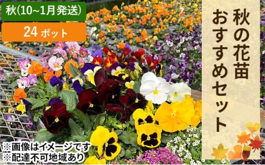 通年受付】季節の花苗セット（10～16ポット） - 兵庫県相生市｜ふるさとチョイス - ふるさと納税サイト