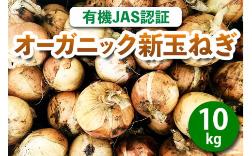 [有機JAS認証] オーガニック新玉ねぎ 10kg 「2025年6月中旬より順次発送」｜先行予約 数量限定 期間限定 タマネギ 新たまねぎ 玉葱 たまねぎ 産地直送 農家直送 有機野菜 国産 群馬県産 甘楽町産 [0211]