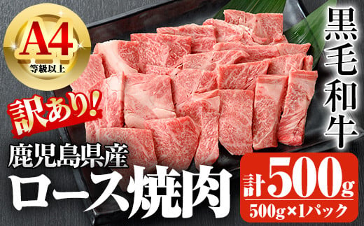 鹿児島県産A4等級以上黒毛和牛・ロース不揃い切り落とし焼肉 計500g(500g×1パック) 鹿児島県産 黒毛和牛 切り落とし【ビーフ倉薗】A521 1485258 - 鹿児島県曽於市