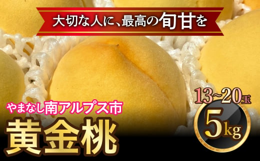 ＜2025年発送分先行予約＞山梨県南アルプス市産　高糖度　黄金桃　【約5ｋｇ　13～20玉】 ALPAH046